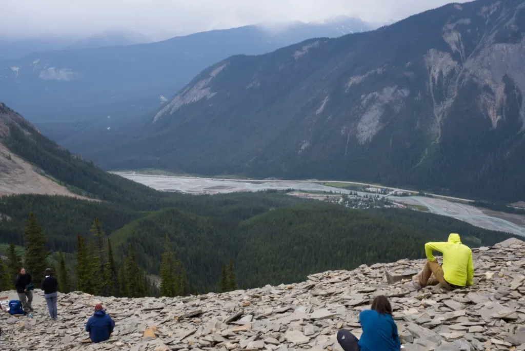 Wonderful Life by Stephen Jay Gould book summary and review burgess shale