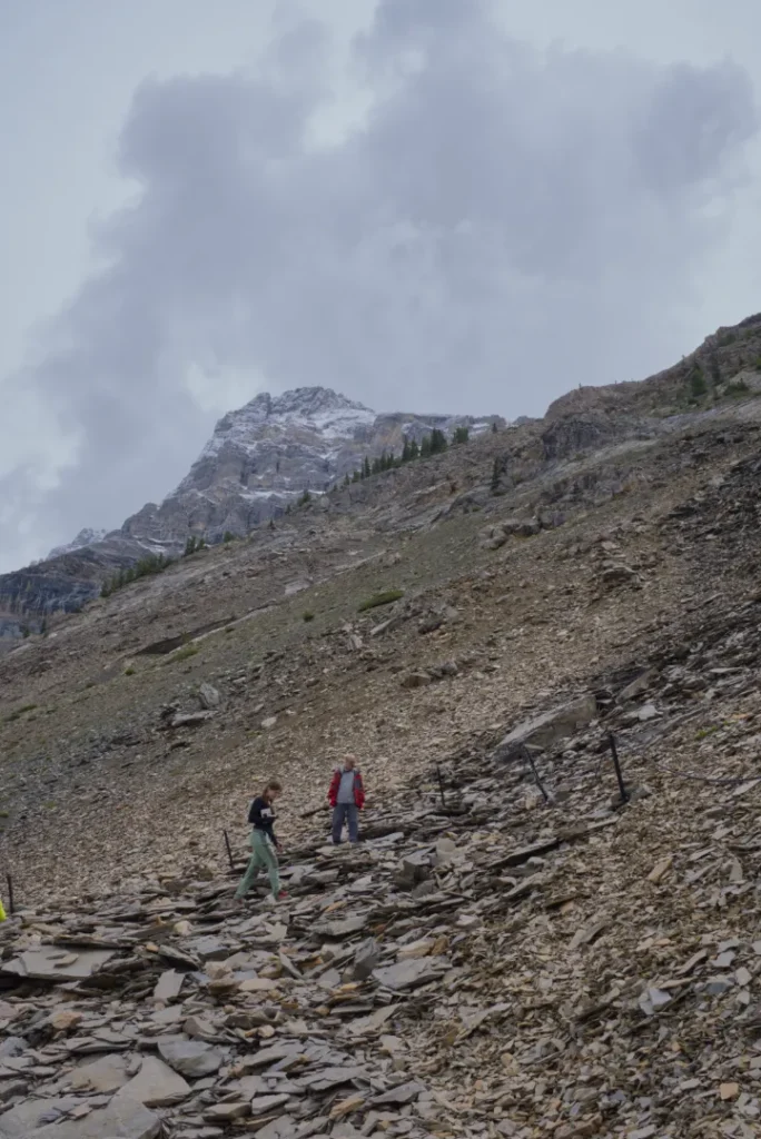 Wonderful Life by Stephen Jay Gould book summary and review burgess shale 2