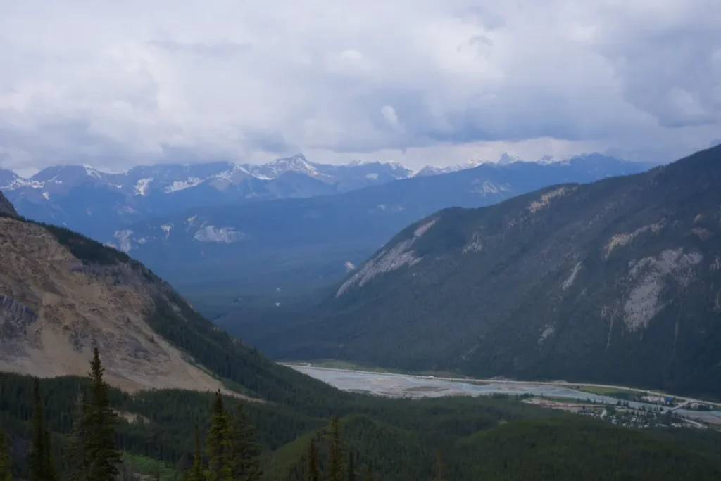 Wonderful Life by Stephen Jay Gould book summary and review burgess shale 3