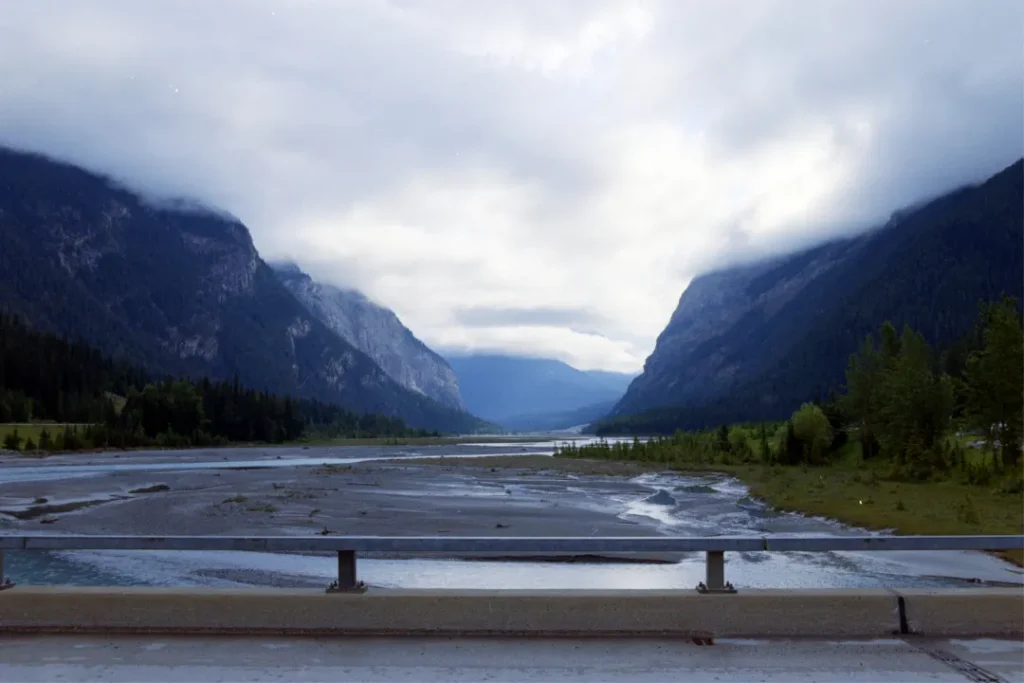 Wonderful Life by Stephen Jay Gould book summary and review field town british columbia
