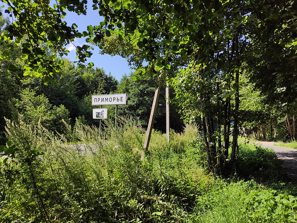 The Tiger by John Vaillant summary and review Primorye entrance