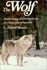 The Wolf by David Mech