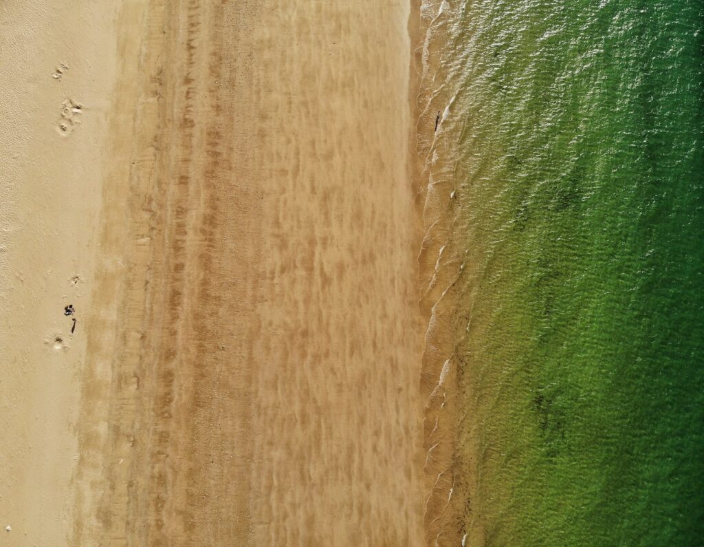 complementary colors Interaction of Color by Joseph Albers green and copper